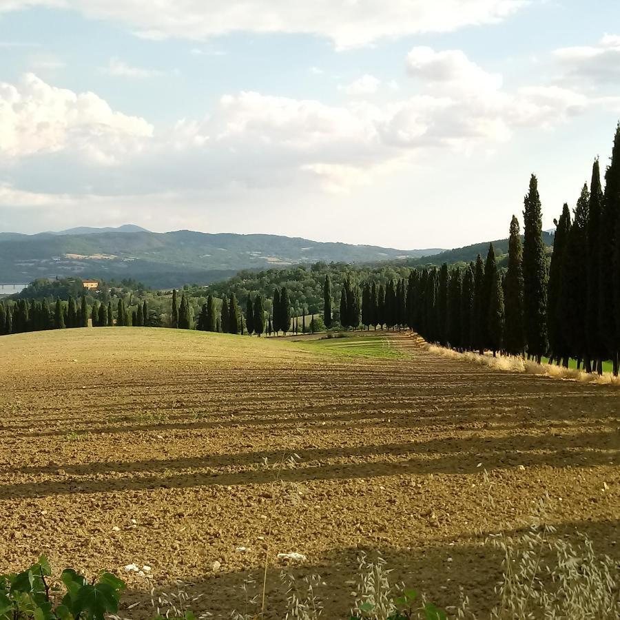 Il Marrondindo Galliano